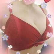 ヒメ日記 2025/07/30 08:50 投稿 なみ 奥様特急　池袋・大塚店