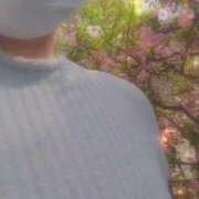 ヒメ日記 2026/03/30 16:00 投稿 なみ 奥様特急　池袋・大塚店