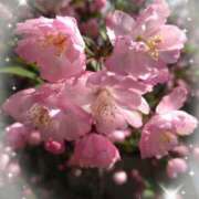 ヒメ日記 2026/03/30 23:20 投稿 なみ 奥様特急　池袋・大塚店