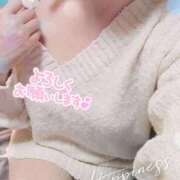 ヒメ日記 2026/04/01 13:18 投稿 野風(のかぜ) 人妻城 横浜本店