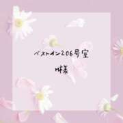 ヒメ日記 2025/01/17 16:48 投稿 ありす 静岡♂風俗の神様 静岡店