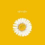 ヒメ日記 2025/01/19 19:28 投稿 ありす 静岡♂風俗の神様 静岡店