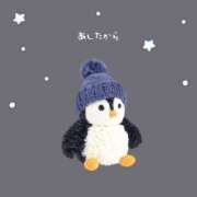 ヒメ日記 2025/01/30 19:15 投稿 ありす 静岡♂風俗の神様 静岡店