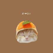 ヒメ日記 2025/03/01 03:15 投稿 ありす 静岡♂風俗の神様 静岡店