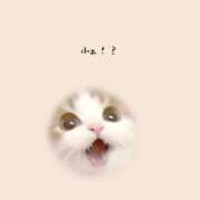 ヒメ日記 2025/05/12 19:38 投稿 ありす 静岡♂風俗の神様 静岡店