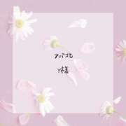 ヒメ日記 2025/06/06 17:18 投稿 ありす 静岡♂風俗の神様 静岡店