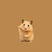 ヒメ日記 2025/08/22 15:48 投稿 ありす 静岡♂風俗の神様 静岡店