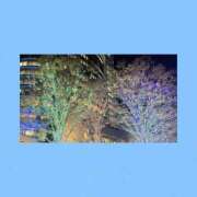 ヒメ日記 2025/11/29 00:28 投稿 ありす 静岡♂風俗の神様 静岡店