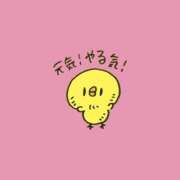 ヒメ日記 2026/01/01 18:28 投稿 ありす 静岡♂風俗の神様 静岡店