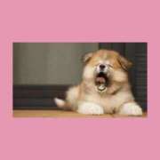 ヒメ日記 2026/01/11 15:19 投稿 ありす 静岡♂風俗の神様 静岡店