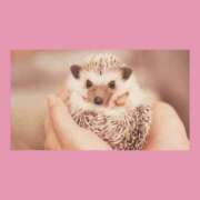 ヒメ日記 2026/01/21 18:38 投稿 ありす 静岡♂風俗の神様 静岡店