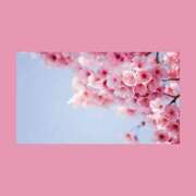 ヒメ日記 2026/02/04 01:08 投稿 ありす 静岡♂風俗の神様 静岡店