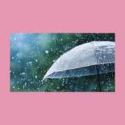 ヒメ日記 2026/02/11 12:28 投稿 ありす 静岡♂風俗の神様 静岡店