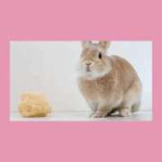 ヒメ日記 2026/03/21 00:58 投稿 ありす 静岡♂風俗の神様 静岡店