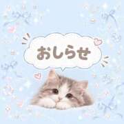 ヒメ日記 2026/09/29 17:48 投稿 ありす 静岡♂風俗の神様 静岡店