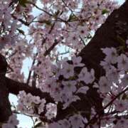 ヒメ日記 2026/04/15 02:48 投稿 なみ 池袋人妻城