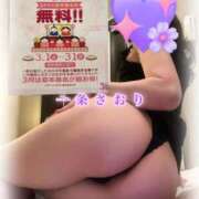 ヒメ日記 2025/02/16 19:57 投稿 一条さおり YESグループ水戸　華女