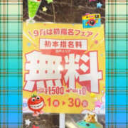 ヒメ日記 2025/09/16 12:00 投稿 一条さおり YESグループ水戸　華女