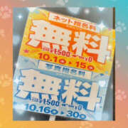 ヒメ日記 2025/10/02 12:30 投稿 一条さおり YESグループ水戸　華女