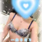 ヒメ日記 2025/12/12 12:00 投稿 一条さおり YESグループ水戸　華女