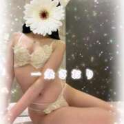 ヒメ日記 2026/02/24 10:30 投稿 一条さおり YESグループ水戸　華女