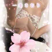 ヒメ日記 2026/04/12 12:30 投稿 一条さおり YESグループ水戸　華女