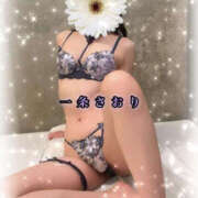 ヒメ日記 2026/05/08 20:00 投稿 一条さおり YESグループ水戸　華女