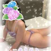 ヒメ日記 2026/06/24 10:30 投稿 一条さおり YESグループ水戸　華女