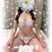 ヒメ日記 2026/07/02 10:30 投稿 一条さおり YESグループ水戸　華女