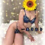ヒメ日記 2026/07/29 10:30 投稿 一条さおり YESグループ水戸　華女