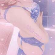 ヒメ日記 2025/09/15 09:15 投稿 Shirona THE PREMIUM （プレミアム）