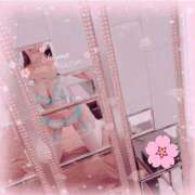 ヒメ日記 2025/09/22 14:15 投稿 Shirona THE PREMIUM （プレミアム）