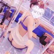 ヒメ日記 2025/09/24 08:45 投稿 Shirona THE PREMIUM （プレミアム）