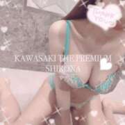 ヒメ日記 2025/10/28 23:45 投稿 Shirona THE PREMIUM （プレミアム）