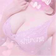 ヒメ日記 2025/11/24 07:15 投稿 Shirona THE PREMIUM （プレミアム）