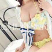 ヒメ日記 2025/11/25 12:15 投稿 Shirona THE PREMIUM （プレミアム）