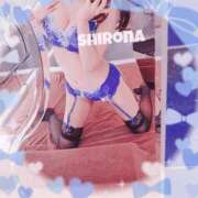 Shirona シロナの見ている世界 THE PREMIUM （プレミアム）