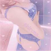 Shirona 今年もまた THE PREMIUM （プレミアム）