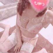 ヒメ日記 2025/12/23 12:45 投稿 Shirona THE PREMIUM （プレミアム）