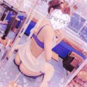 ヒメ日記 2025/12/26 07:45 投稿 Shirona THE PREMIUM （プレミアム）