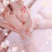 ヒメ日記 2026/01/01 08:15 投稿 Shirona THE PREMIUM （プレミアム）