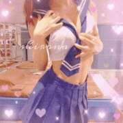 Shirona シロナ・クイズ THE PREMIUM （プレミアム）