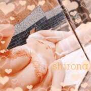 ヒメ日記 2026/01/18 09:15 投稿 Shirona THE PREMIUM （プレミアム）