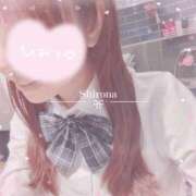 ヒメ日記 2026/01/30 12:15 投稿 Shirona THE PREMIUM （プレミアム）
