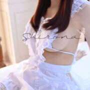 ヒメ日記 2026/02/12 07:15 投稿 Shirona THE PREMIUM （プレミアム）