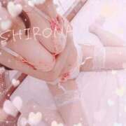 Shirona 仲間はどこ？ THE PREMIUM （プレミアム）