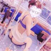 ヒメ日記 2026/04/03 10:15 投稿 Shirona THE PREMIUM （プレミアム）