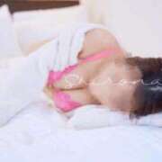 ヒメ日記 2026/04/07 22:15 投稿 Shirona THE PREMIUM （プレミアム）