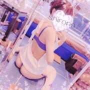 ヒメ日記 2026/06/14 08:15 投稿 Shirona THE PREMIUM （プレミアム）