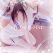 ヒメ日記 2026/06/29 12:15 投稿 Shirona THE PREMIUM （プレミアム）